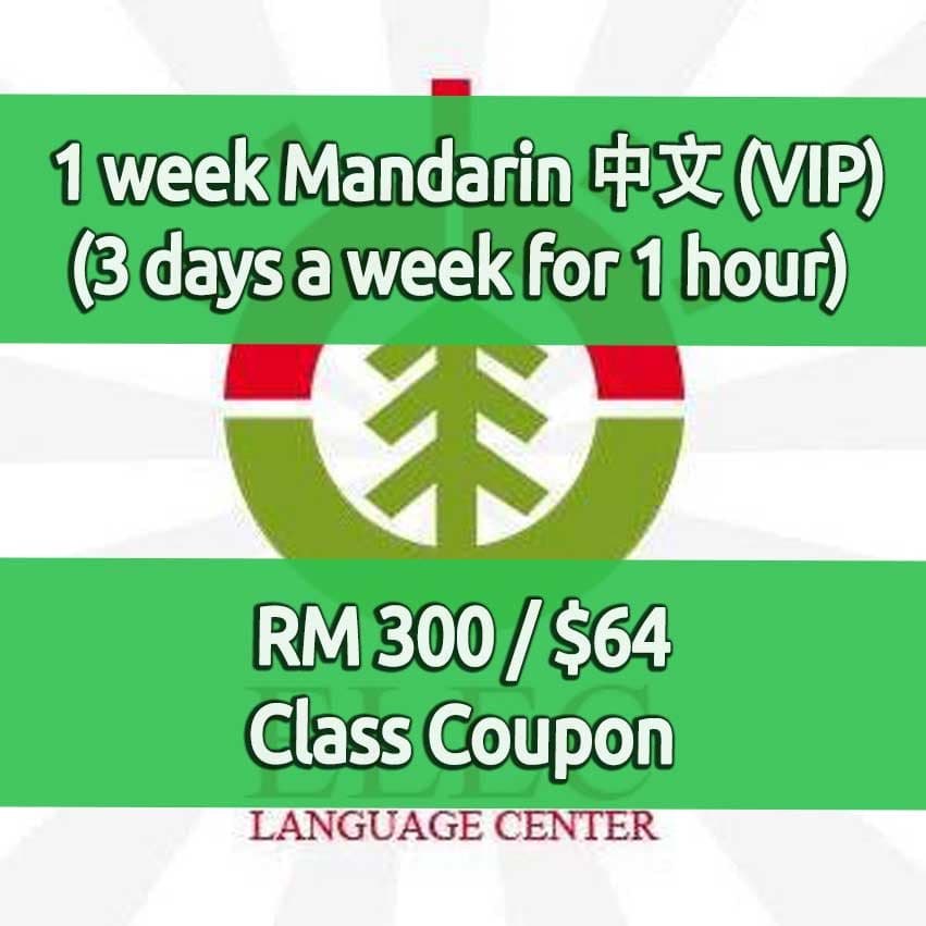 ELEC VIP Mandarin Chinese 3 Days a Week for RM 300