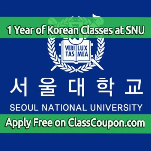 Seoul National University's Korean Language Education Center (KLEC) offers a comprehensive one-year program designed for those who wish to master the Korean language while fully immersing themselves in the culture.